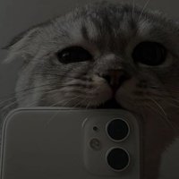 Аватар Никита Адмиралов