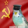 Аватар Denis006