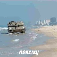 Аватар ShamixxMT