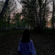Аватар Анна Волкова