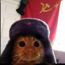 Аватар Вильдан Ааа