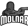 Аватар Molnar