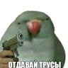 Аватар Артем Зулаев