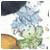 Аватар gardenscapescheatslal