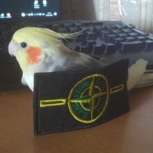 Аватар Весёлый Подросток