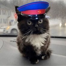 Аватар ryabovvr