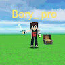 Аватар bory_pro