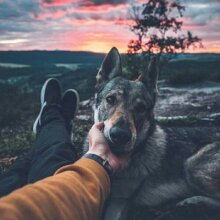 Аватар Иван Иванов_9