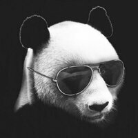 Аватар Иван Придчин