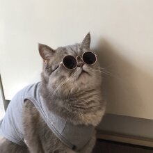 Аватар Арсений Калинин