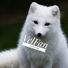 Аватар VelFan