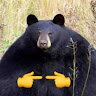 Аватар Кабанчик