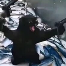 Аватар l1vais