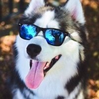 Аватар Михаил Вдовкин