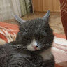 Аватар - Dmitriy -
