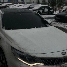 Аватар Давид Зайнуллин