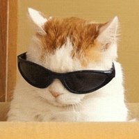 Аватар Андрей Тумайкин