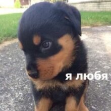 Аватар Кирилл Морозов_3