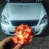 Аватар arxippp