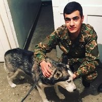 Аватар Давид Геворгян