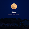 Аватар Zeet