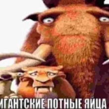 Аватар idinaxui111
