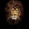 Аватар Aslan