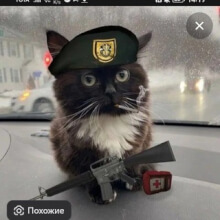 Аватар bfhdhxhfhdhr