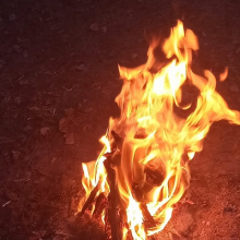 Аватар Никита Тархов