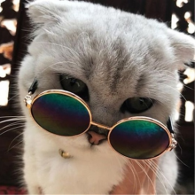 Аватар Ваня Кофаль