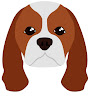 Аватар Alexeydog Iive