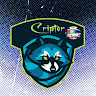 Аватар Cripter