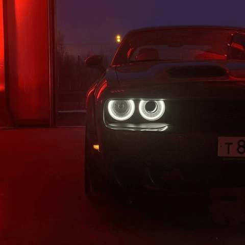 Аватар Давид Закарян