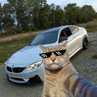 Аватар Klutoi