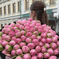 Аватар Арина Абрамян