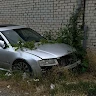 Аватар максим смирнов8982