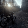 Аватар Кулик Тимур