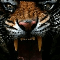 Аватар kirill.kononov2020