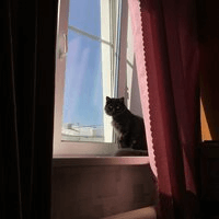 Аватар Дмитрий_16