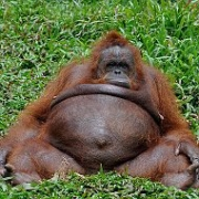 Аватар Андрей Новиков_2