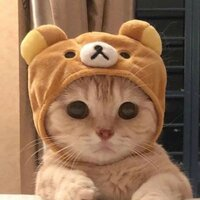 Аватар Алексей Прохоров_4