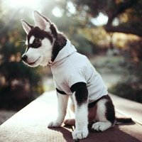 Аватар Анатолий Бакаев