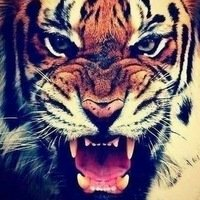 Аватар Алексей Шумилов_2