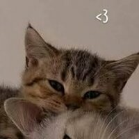 Аватар kylluYT