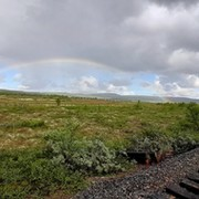 Аватар бродяга бродяжкин