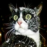 Аватар Мирон_2