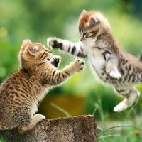 Аватар vfxsbalakin