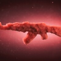 Аватар Ярослав Шиманович_2