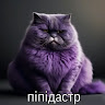 Аватар Довлет Мамий