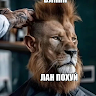 Аватар Timyr Set